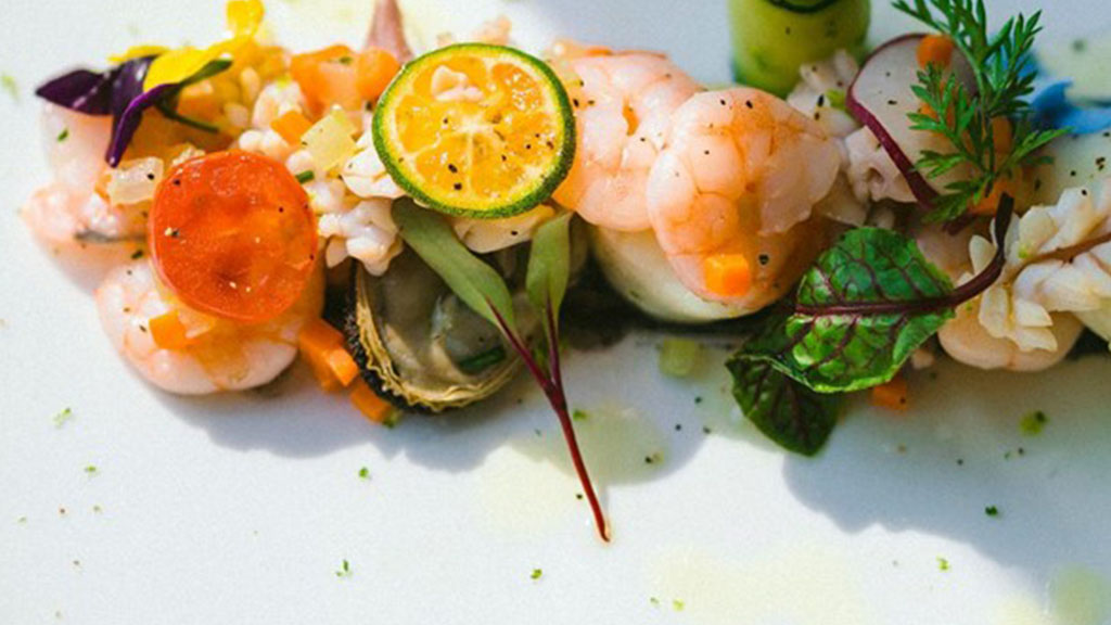 Riviera Maya Sailing Elite